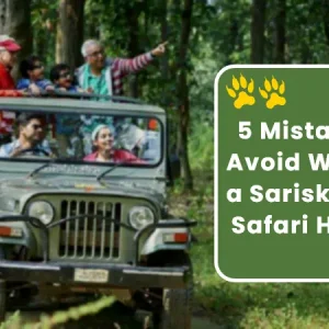 5 Mistakes to Avoid While on a Sariska Tiger Safari Holiday
